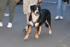 DSC_0577